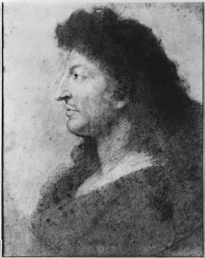 Portrait de Louis XIV de profil, avec cou nu et cheveux longs, vers 1678 - Charles Le Brun